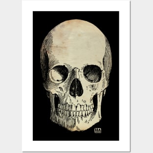 Vintage Gothic Skull Posters and Art